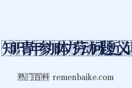 知识青年参加体力劳动问题近义词是什么意思的图片
